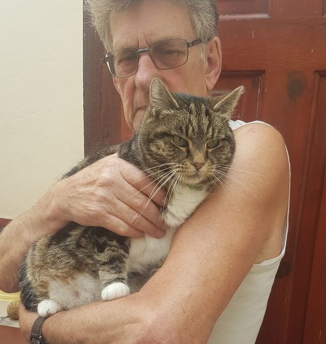 Going On Holiday? Why Booking A Cattery Early Is a Must