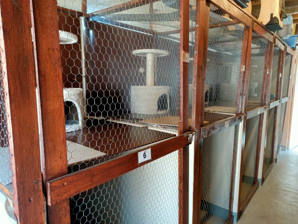 Cattery