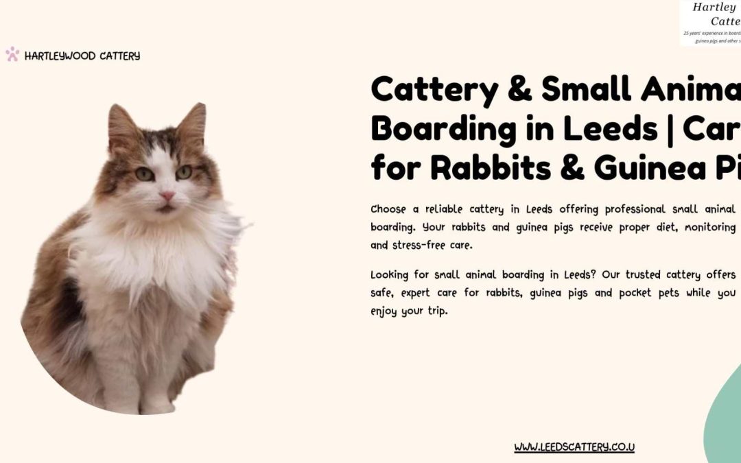 Why Professional Small Animal Boarding in Leeds is Essential?